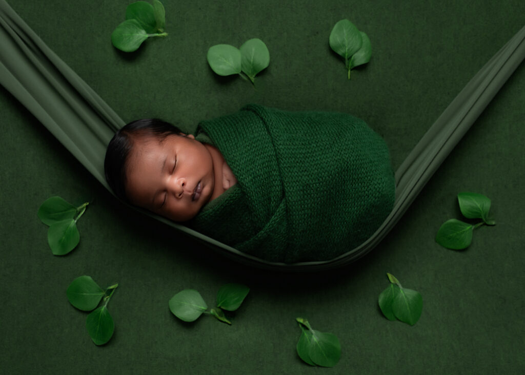 boy baby photo sleeping on green fabric and green hammock, wrapped in green with a leaves surrounding him