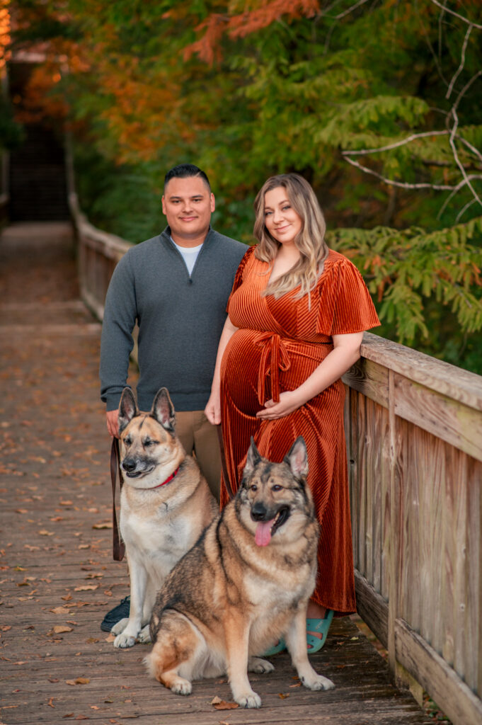 Expecting couple with two dogs on wooden bridge during fall mini sessions in Birmingham.